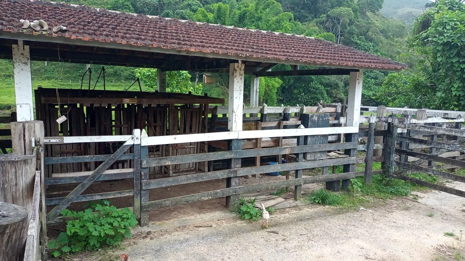 Fazenda à venda de 397 ha em São José dos Campos, SP, Brasil