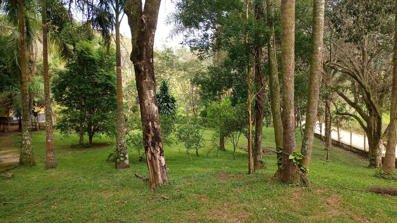 Fazenda à venda de 397 ha em São José dos Campos, SP, Brasil