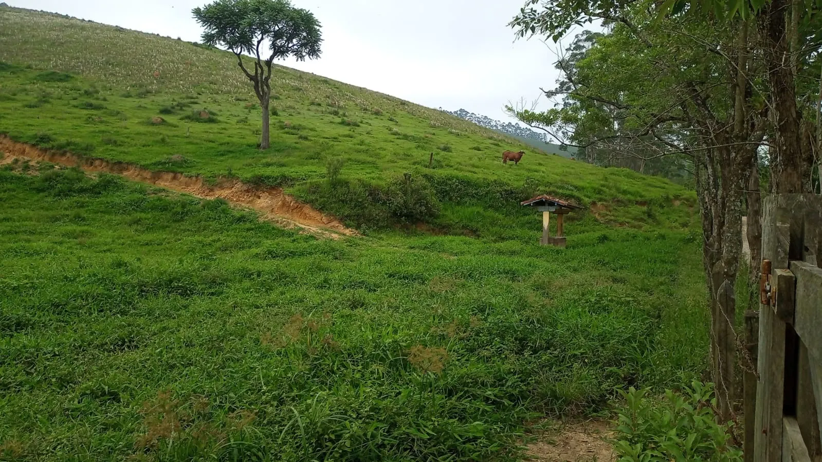 Fazenda à venda de 397 ha em São José dos Campos, SP, Brasil