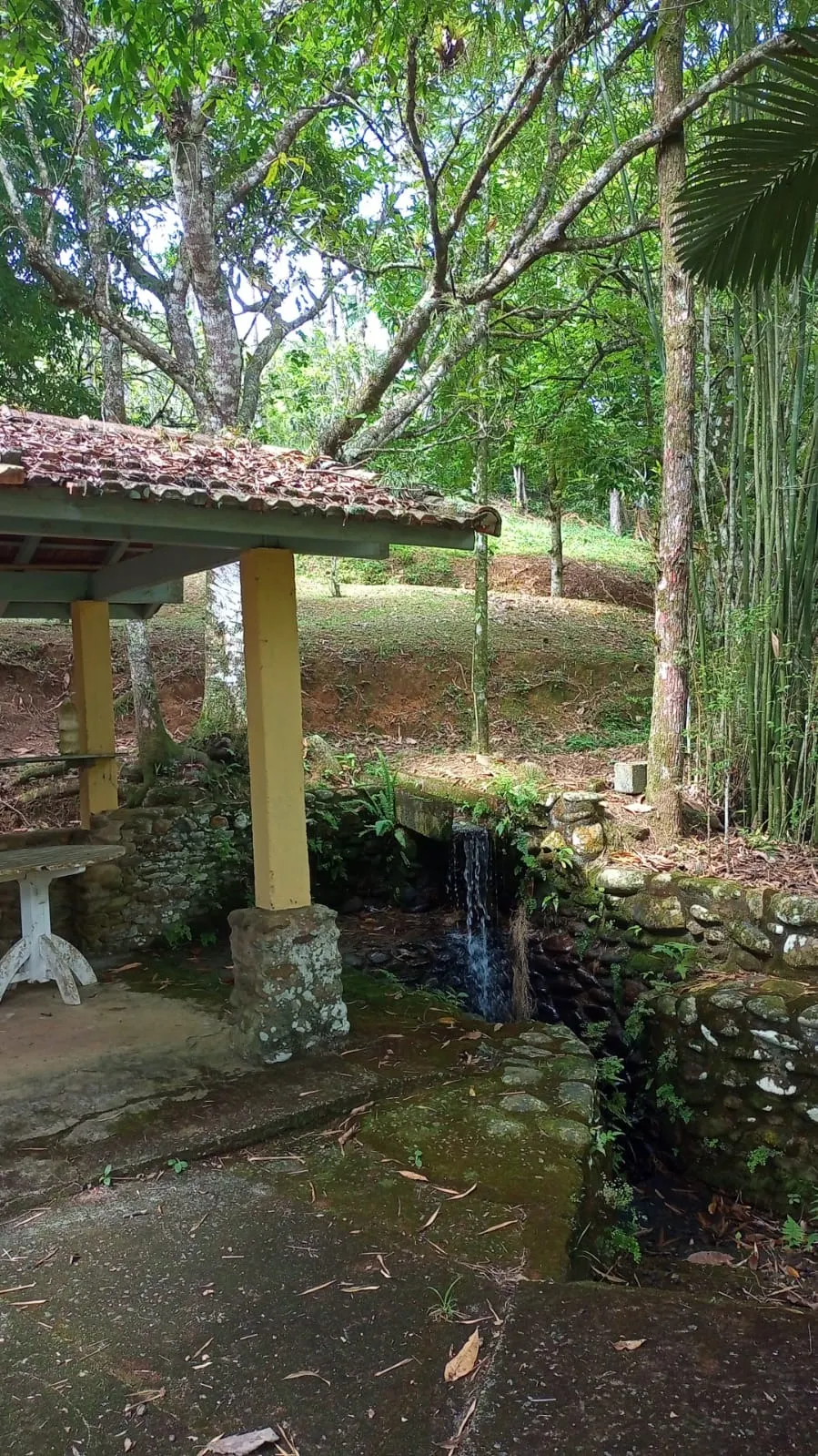 Fazenda à venda de 397 ha em São José dos Campos, SP, Brasil