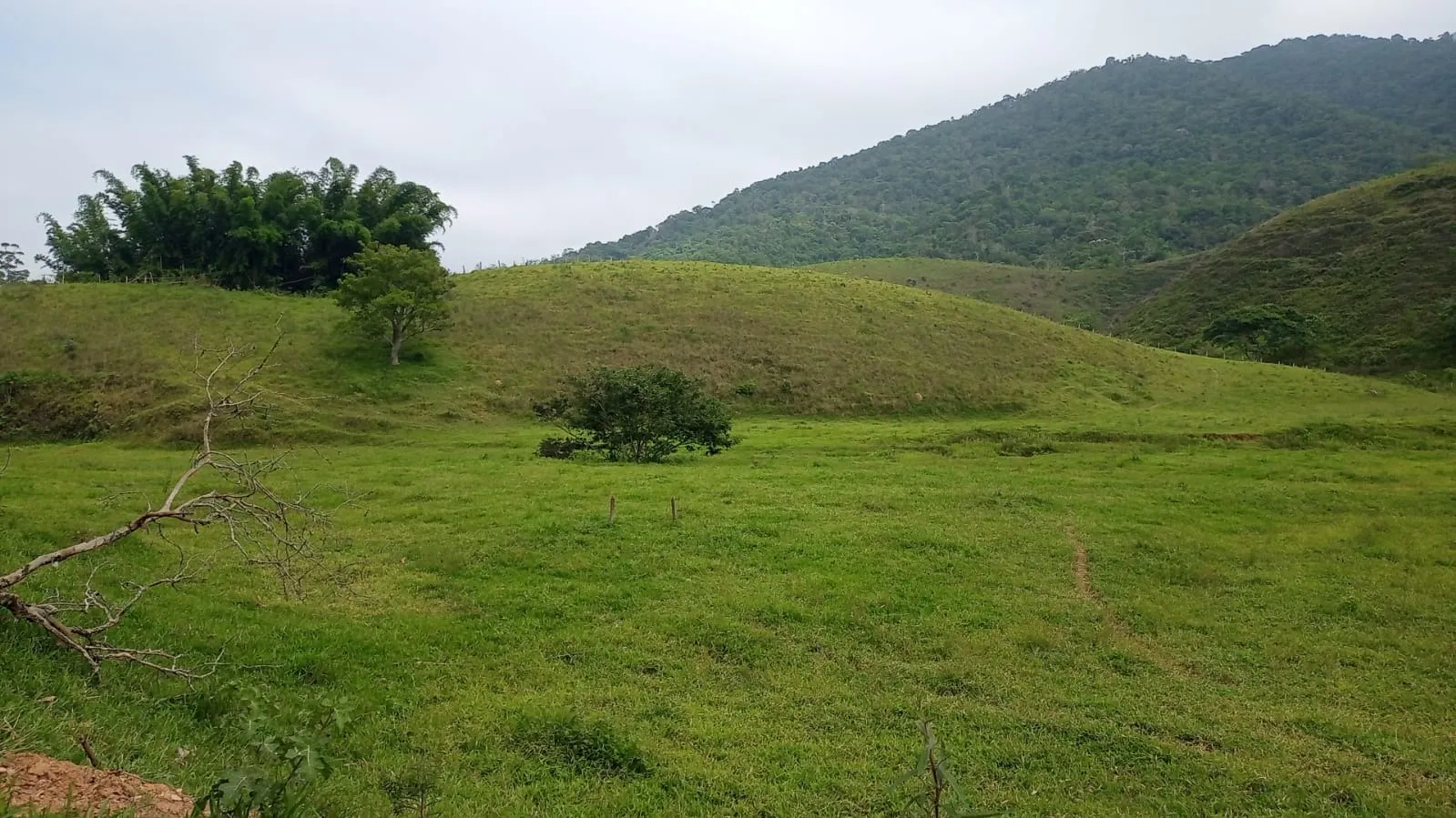 Fazenda à venda de 397 ha em São José dos Campos, SP, Brasil