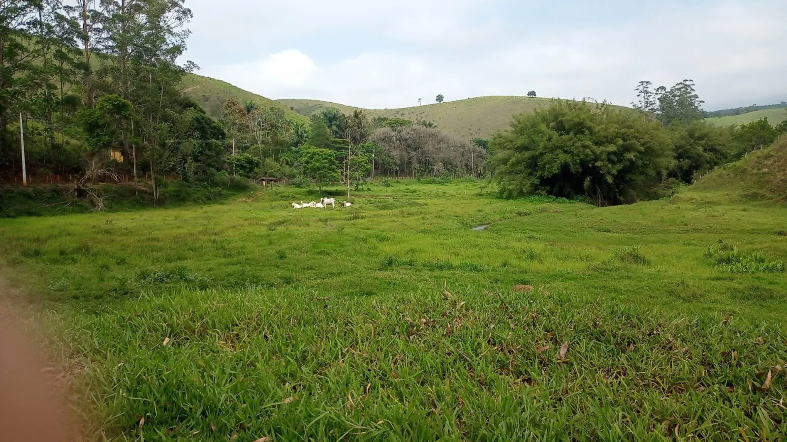 Fazenda à venda de 397 ha em São José dos Campos, SP, Brasil