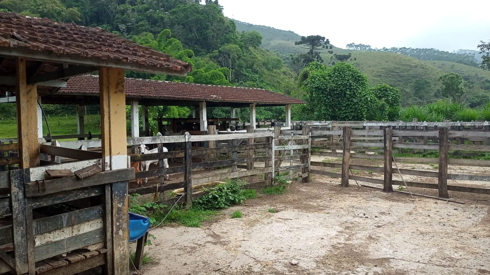 Fazenda à venda de 397 ha em São José dos Campos, SP, Brasil