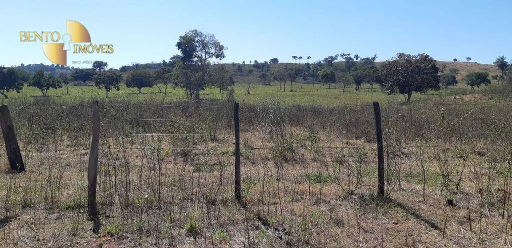 Fazenda à venda de 650 ha em Poxoréu, MT, Brasil