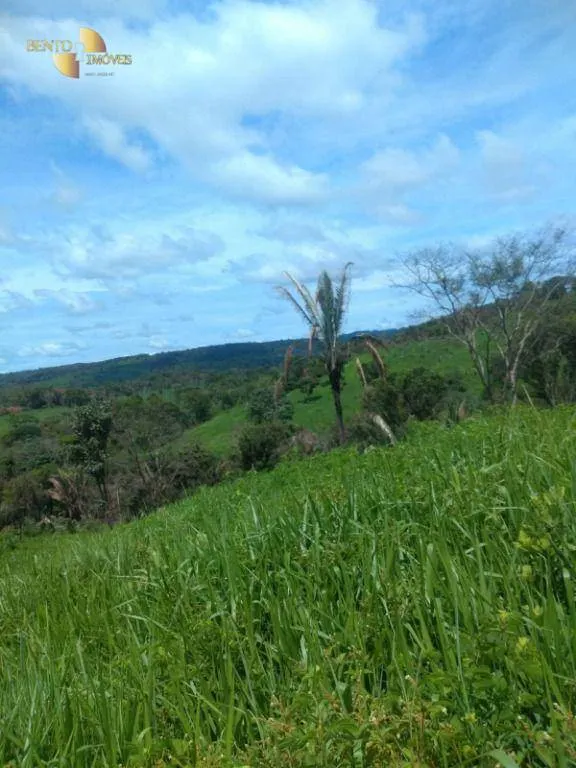 Fazenda à venda de 650 ha em Poxoréu, MT, Brasil