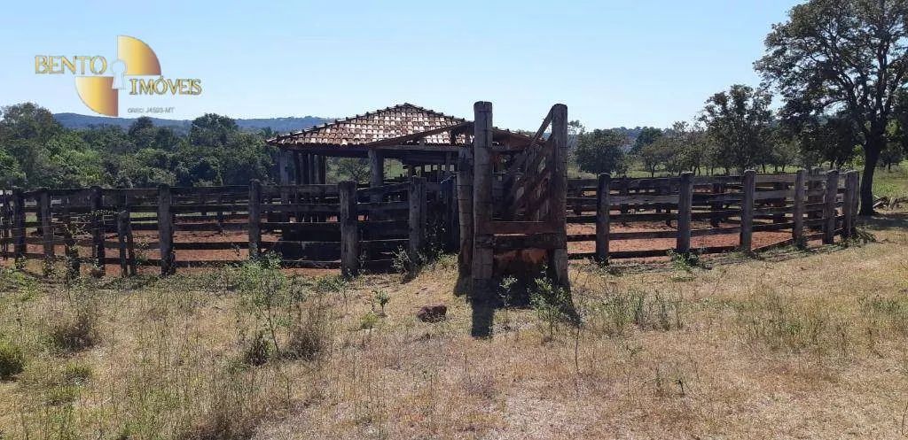 Fazenda à venda de 650 ha em Poxoréu, MT, Brasil