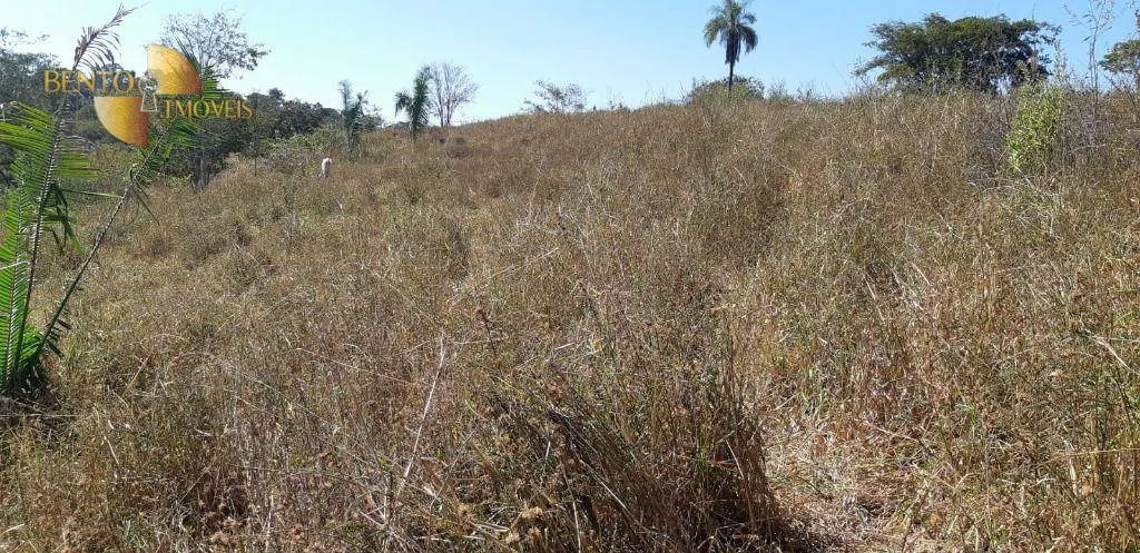 Fazenda à venda de 650 ha em Poxoréu, MT, Brasil