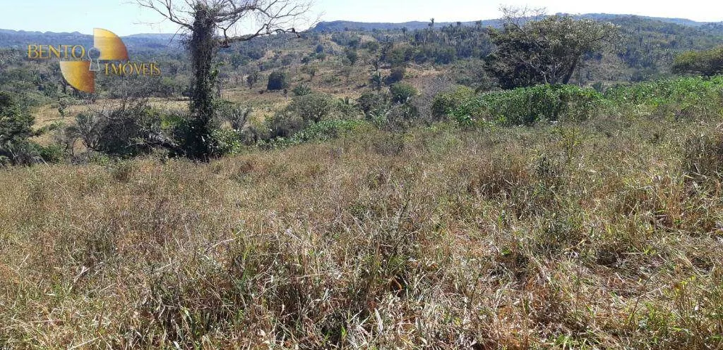 Fazenda à venda de 650 ha em Poxoréu, MT, Brasil