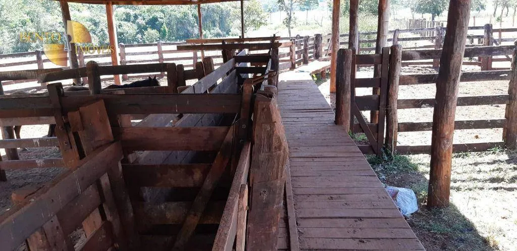 Fazenda à venda de 650 ha em Poxoréu, MT, Brasil