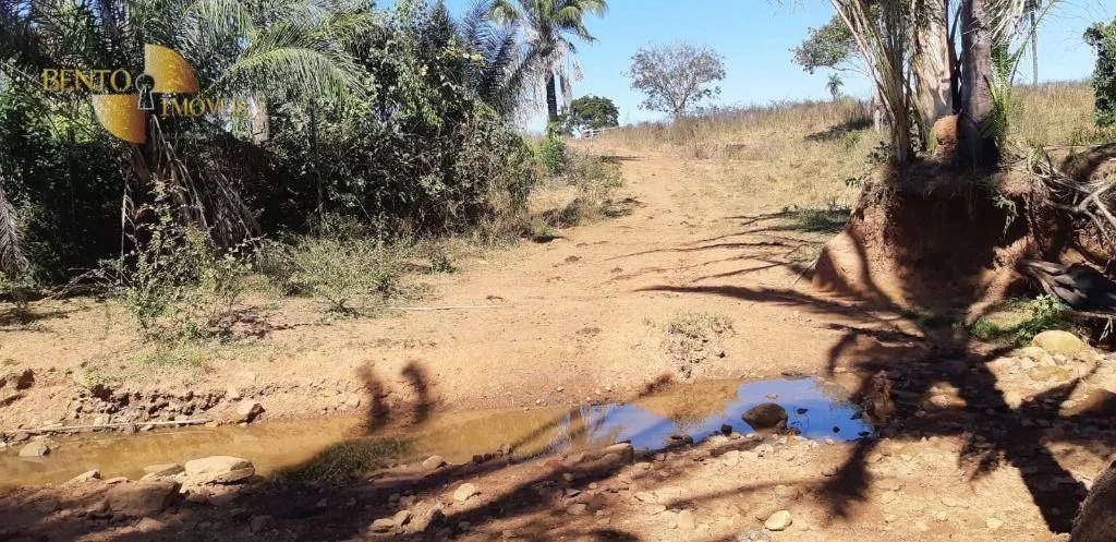 Fazenda à venda de 650 ha em Poxoréu, MT, Brasil