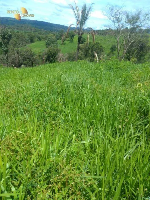 Fazenda à venda de 650 ha em Poxoréu, MT, Brasil