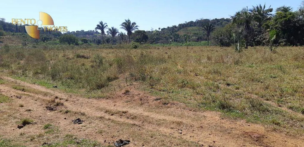 Fazenda à venda de 650 ha em Poxoréu, MT, Brasil