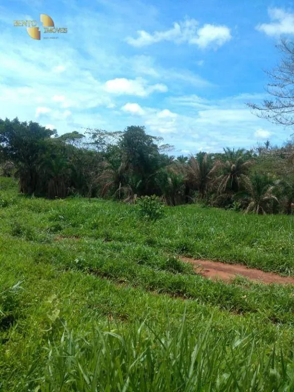 Fazenda à venda de 650 ha em Poxoréu, MT, Brasil