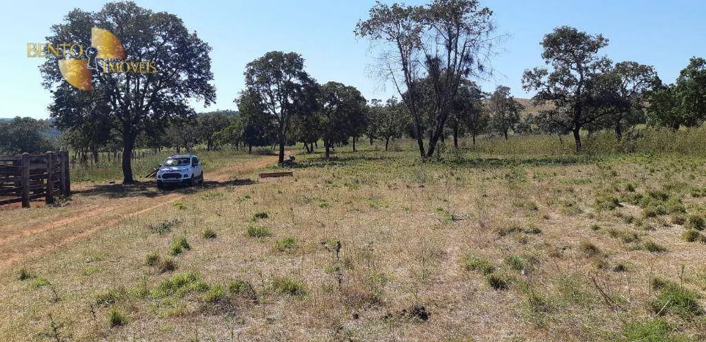 Fazenda à venda de 650 ha em Poxoréu, MT, Brasil