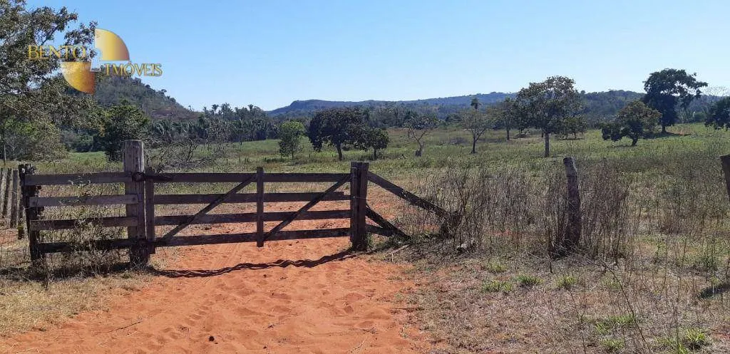 Fazenda à venda de 650 ha em Poxoréu, MT, Brasil