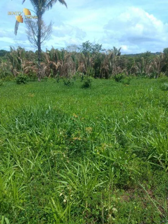 Fazenda à venda de 650 ha em Poxoréu, MT, Brasil