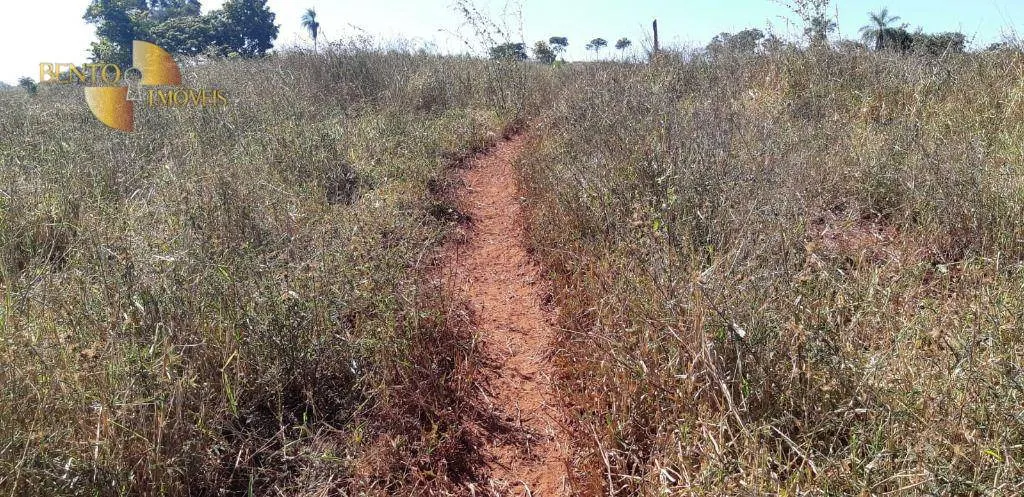 Fazenda à venda de 650 ha em Poxoréu, MT, Brasil