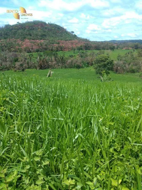 Fazenda à venda de 650 ha em Poxoréu, MT, Brasil