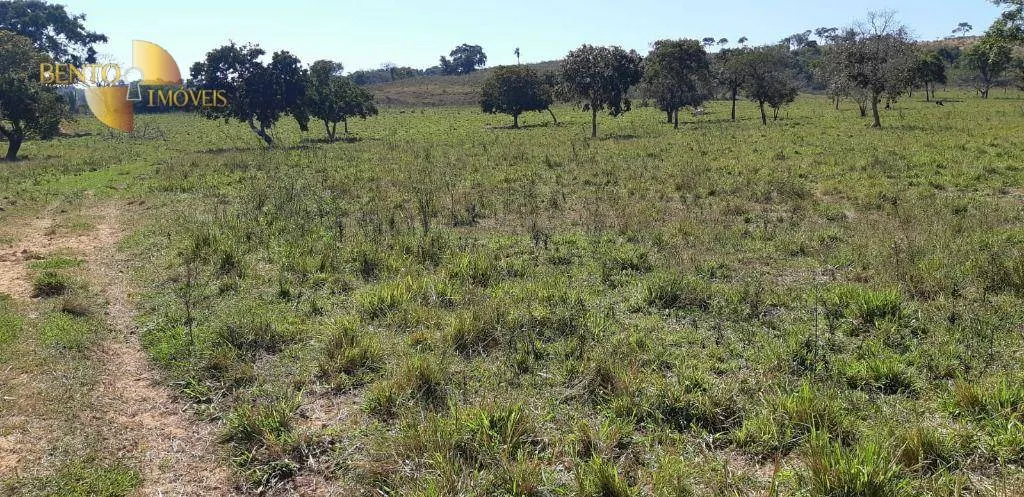 Fazenda à venda de 650 ha em Poxoréu, MT, Brasil