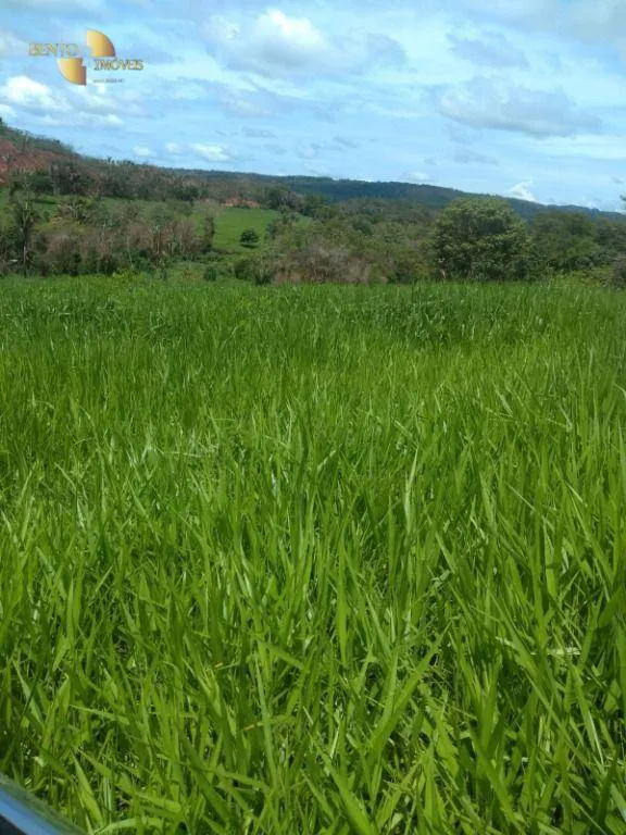 Fazenda à venda de 650 ha em Poxoréu, MT, Brasil