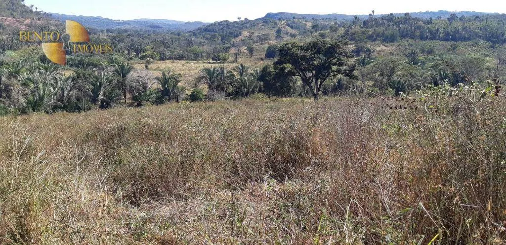 Fazenda à venda de 650 ha em Poxoréu, MT, Brasil