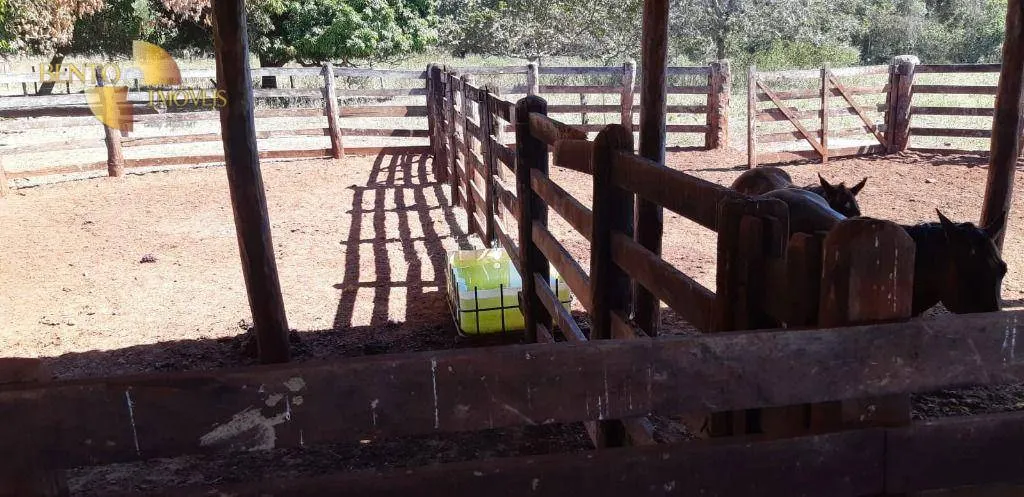 Fazenda à venda de 650 ha em Poxoréu, MT, Brasil