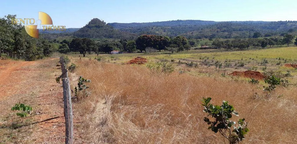 Fazenda à venda de 650 ha em Poxoréu, MT, Brasil