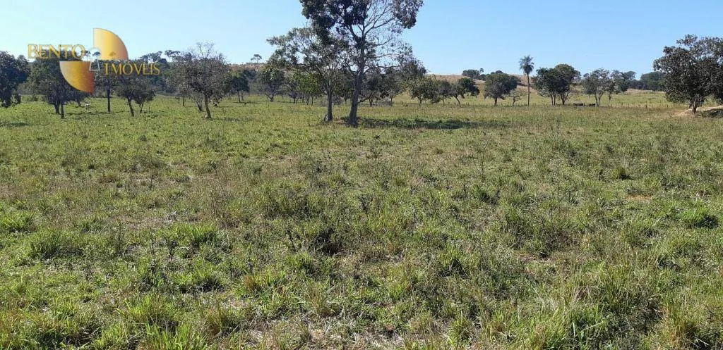 Fazenda à venda de 650 ha em Poxoréu, MT, Brasil
