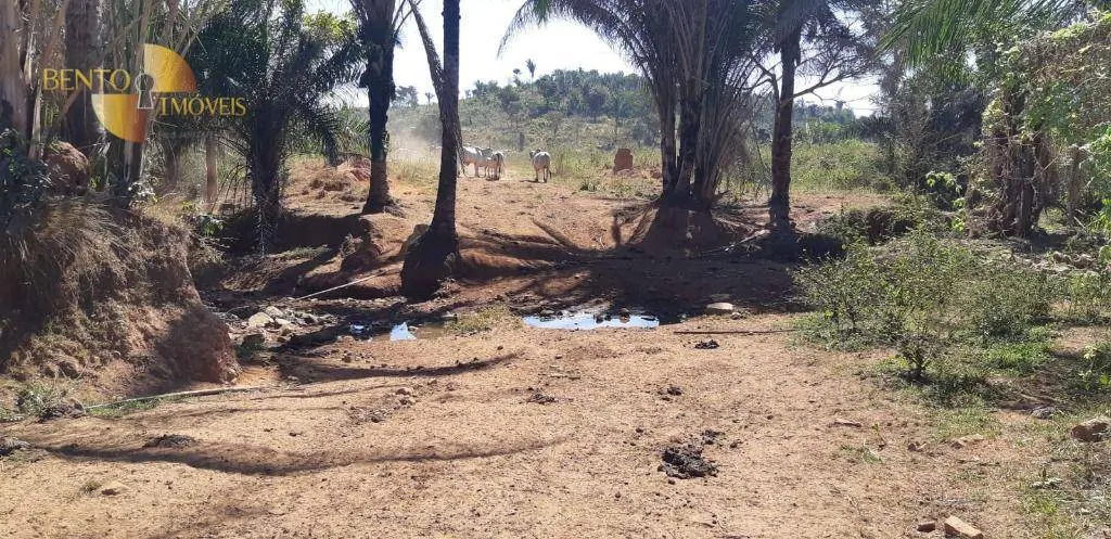 Fazenda à venda de 650 ha em Poxoréu, MT, Brasil