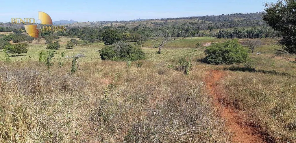 Fazenda à venda de 650 ha em Poxoréu, MT, Brasil