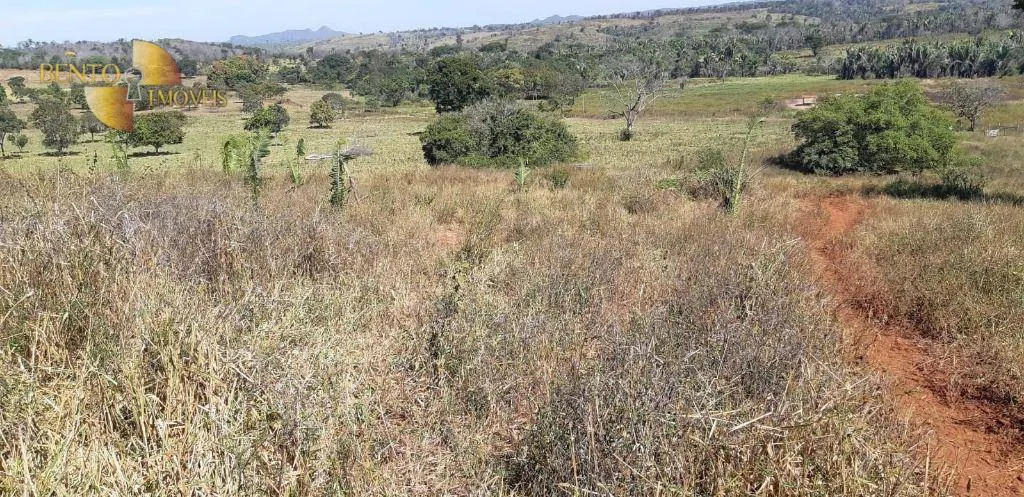 Fazenda à venda de 650 ha em Poxoréu, MT, Brasil
