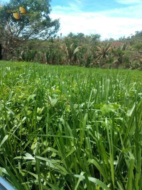 Fazenda à venda de 650 ha em Poxoréu, MT, Brasil