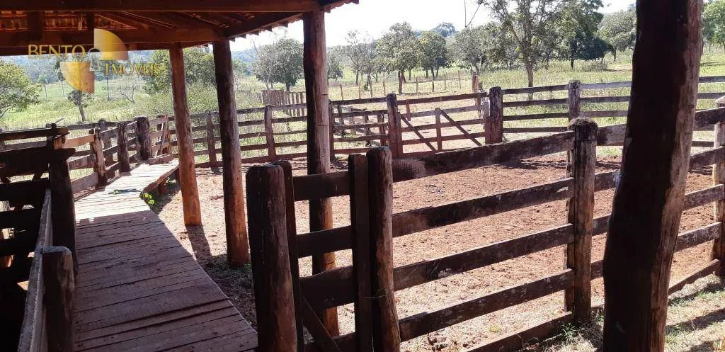 Fazenda à venda de 650 ha em Poxoréu, MT, Brasil