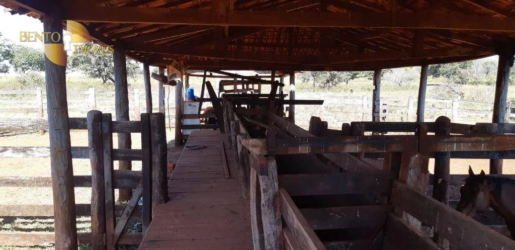 Fazenda à venda de 650 ha em Poxoréu, MT, Brasil