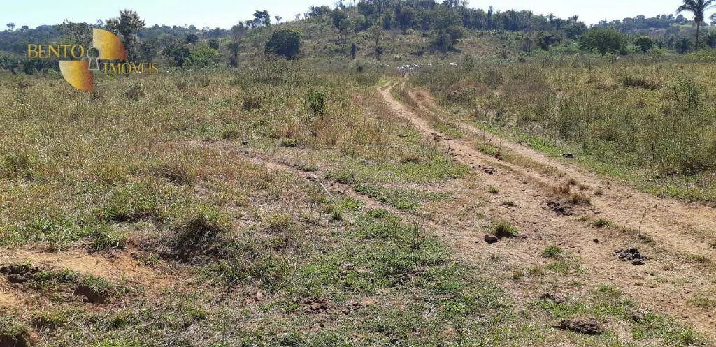 Fazenda à venda de 650 ha em Poxoréu, MT, Brasil