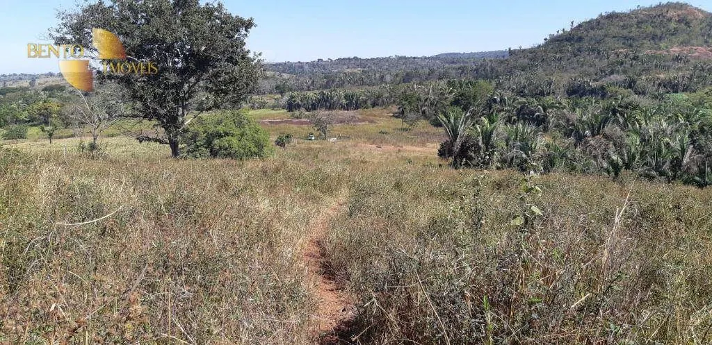 Fazenda à venda de 650 ha em Poxoréu, MT, Brasil