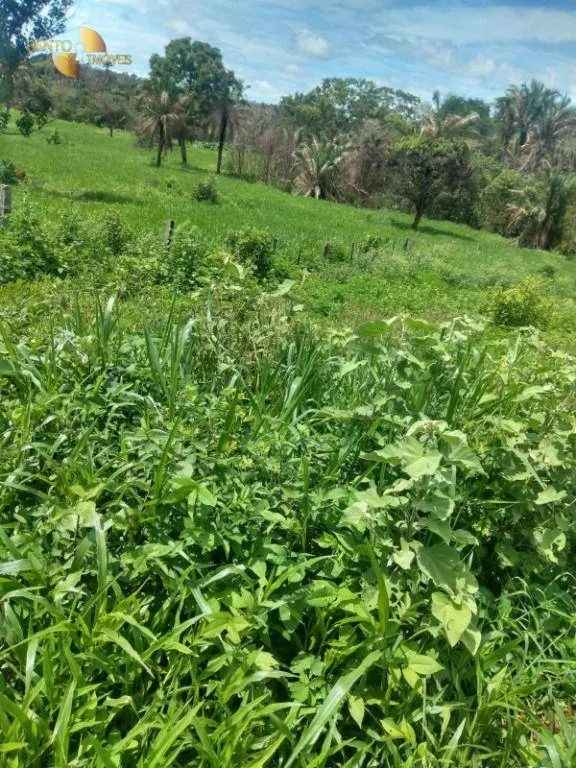 Fazenda à venda de 650 ha em Poxoréu, MT, Brasil