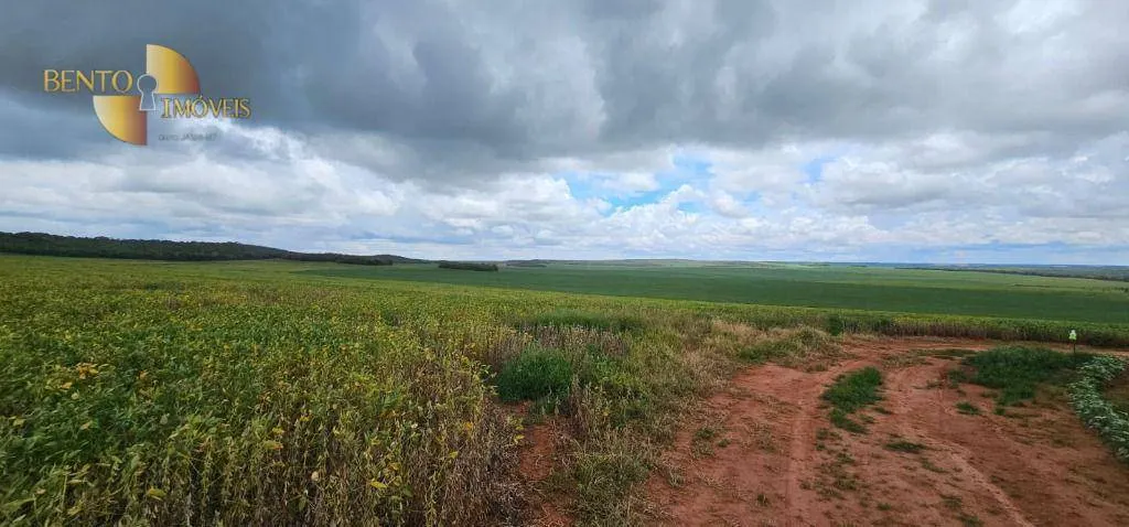 Fazenda à venda de 728 ha em Nova Maringá, MT, Brasil
