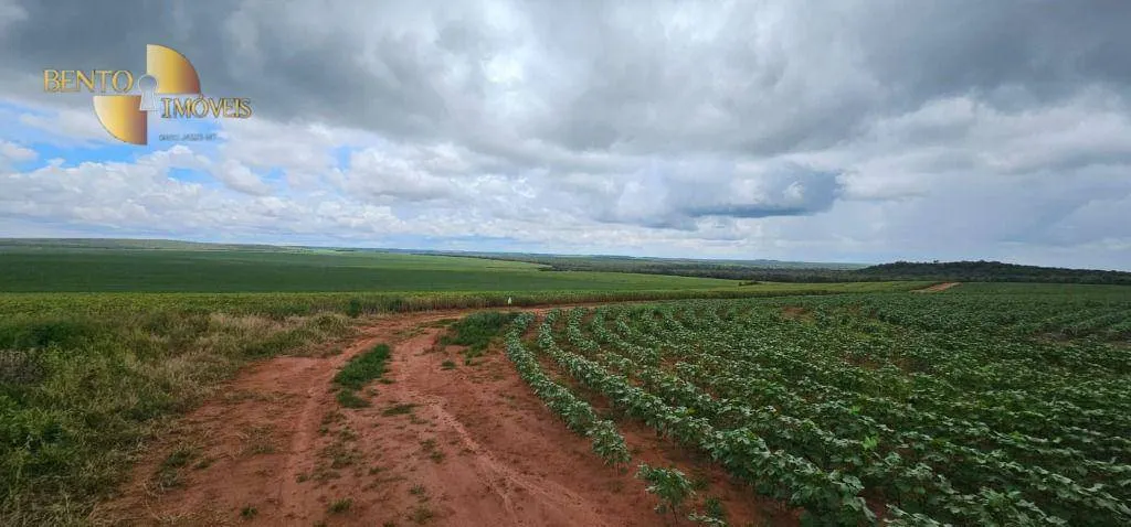 Fazenda à venda de 728 ha em Nova Maringá, MT, Brasil