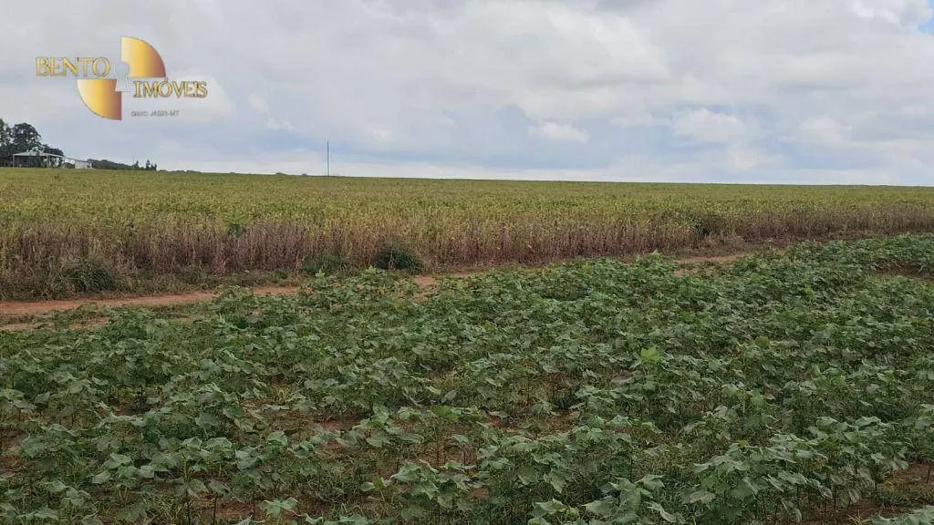 Fazenda à venda de 728 ha em Nova Maringá, MT, Brasil