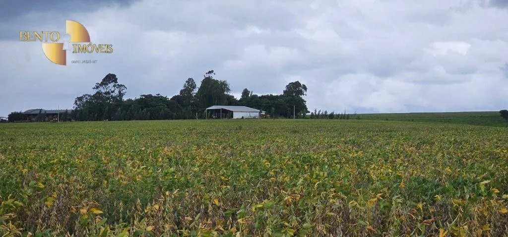 Fazenda à venda de 728 ha em Nova Maringá, MT, Brasil