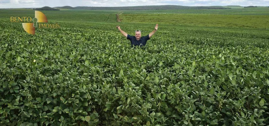 Fazenda à venda de 728 ha em Nova Maringá, MT, Brasil