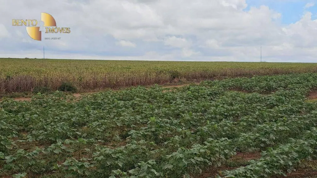 Fazenda à venda de 728 ha em Nova Maringá, MT, Brasil