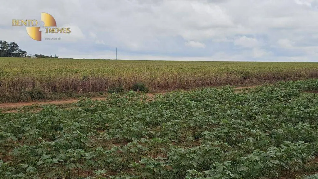 Fazenda à venda de 728 ha em Nova Maringá, MT, Brasil