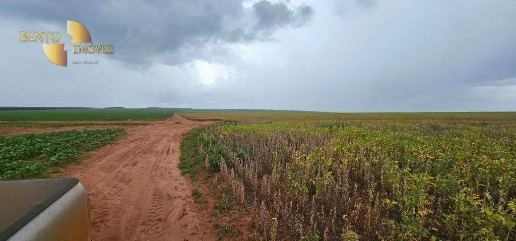 Fazenda à venda de 728 ha em Nova Maringá, MT, Brasil