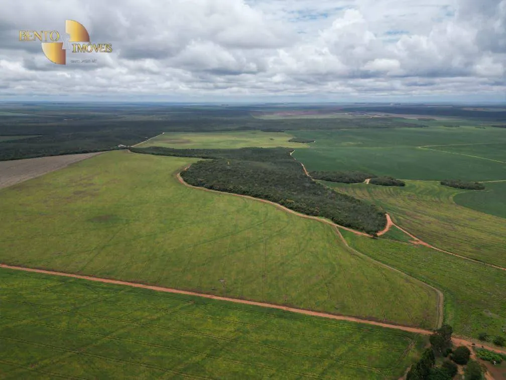 Fazenda à venda de 728 ha em Nova Maringá, MT, Brasil