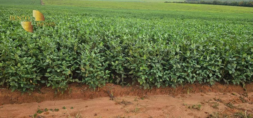 Fazenda à venda de 728 ha em Nova Maringá, MT, Brasil