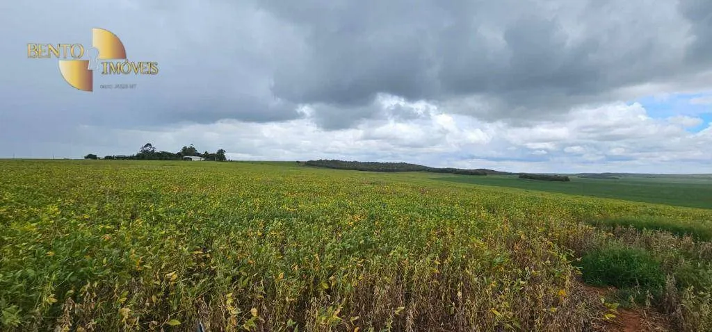 Fazenda à venda de 728 ha em Nova Maringá, MT, Brasil