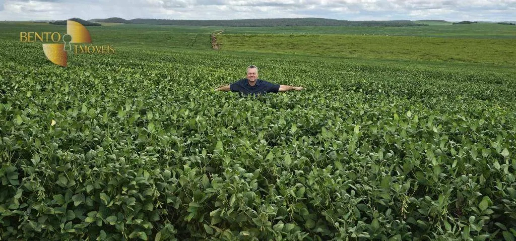 Fazenda à venda de 728 ha em Nova Maringá, MT, Brasil