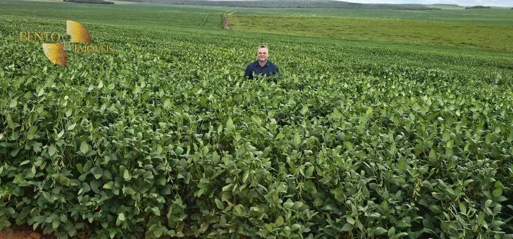 Fazenda à venda de 728 ha em Nova Maringá, MT, Brasil